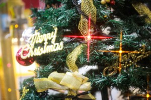 christmas0I9A4358_TP_V1